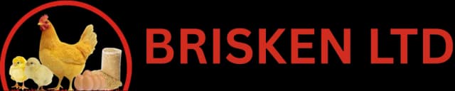 Brisken Ltd Logo